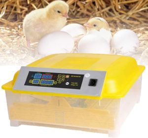 Egg Incubator, 48 Eggs Digital Incubator with Fully Automatic Egg Turning and Humidity Control 80W Clear Hatching for Chicken Duck Eggs