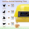 Egg Incubator, 48 Eggs Digital Incubator with Fully Automatic Egg Turning and Humidity Control 80W Clear Hatching for Chicken Duck Eggs